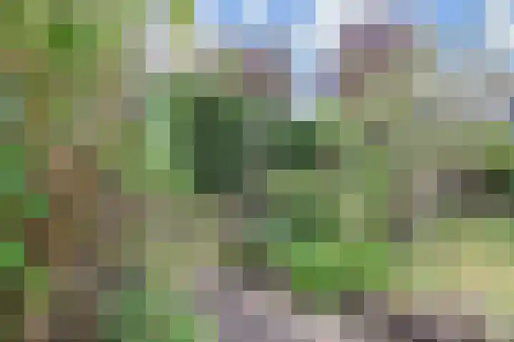 Jacob van der Wielelaan 30 Rijswijk thumbnail 19