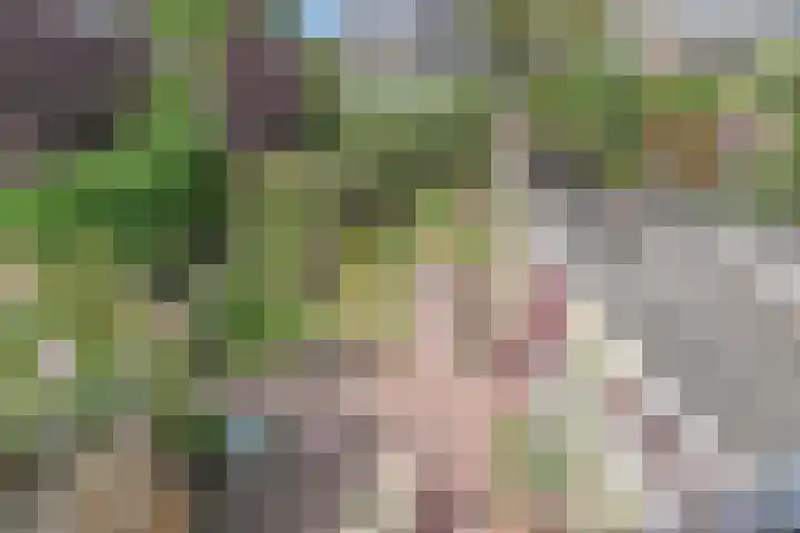Jacob van der Wielelaan 30 Rijswijk thumbnail 26
