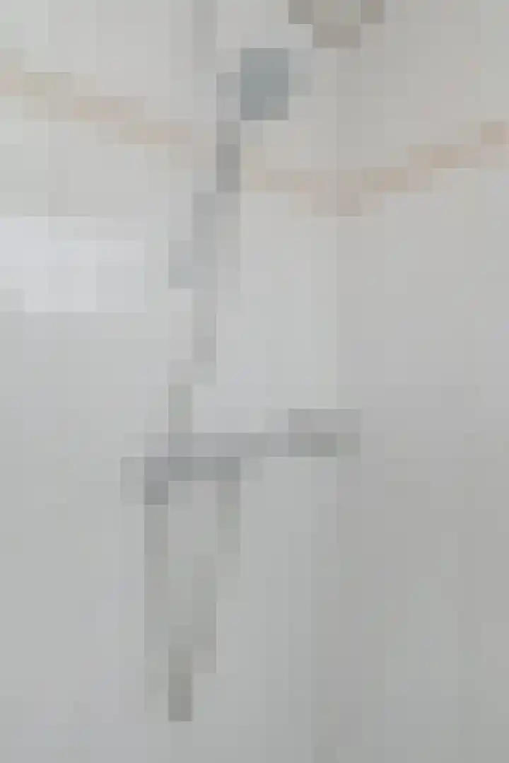 Jacob van der Wielelaan 30 Rijswijk thumbnail 37