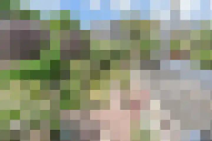 Jacob van der Wielelaan 30 Rijswijk thumbnail 43