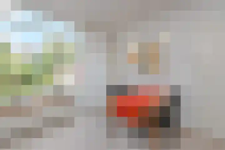 Jacob van der Wielelaan 30 Rijswijk thumbnail 7