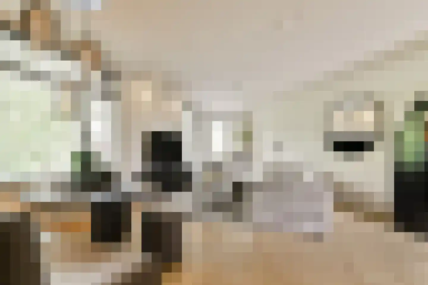 Jacob van der Wintstraat 16 Vlaardingen thumbnail 13
