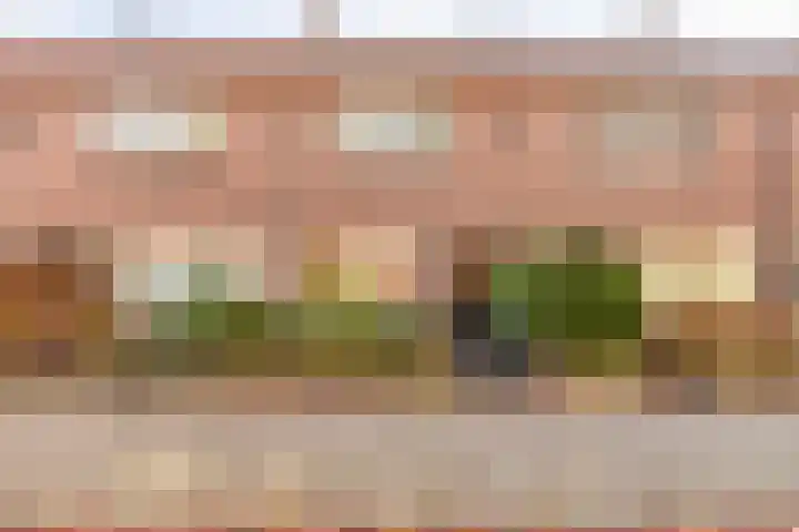 Jacob van Deventerstraat 13 in Deventer