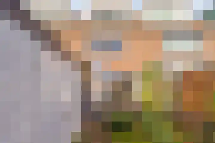 Jacob van Deventerstraat 13 Deventer thumbnail 36