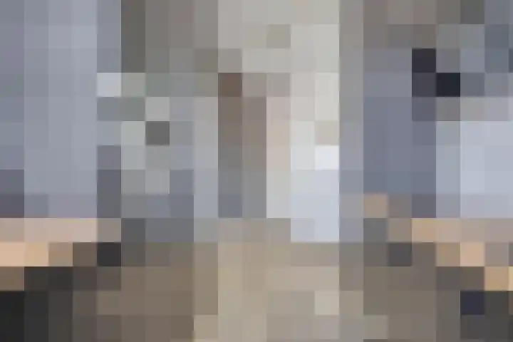 Jacob van Deventerstraat 17 Eindhoven thumbnail 12