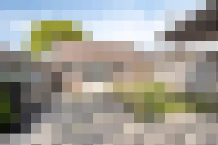 Jacob van Deventerstraat 17 Eindhoven thumbnail 24