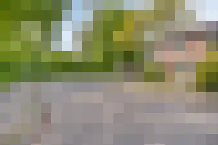 Jacob van Deventerstraat 17 Eindhoven thumbnail 6