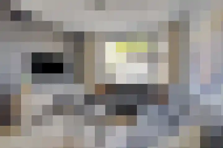 Jacob van Deventerstraat 17 Eindhoven thumbnail 9