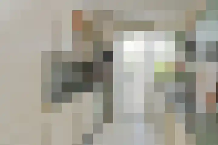 Jacob van Deventerstraat 21 Eindhoven thumbnail 15