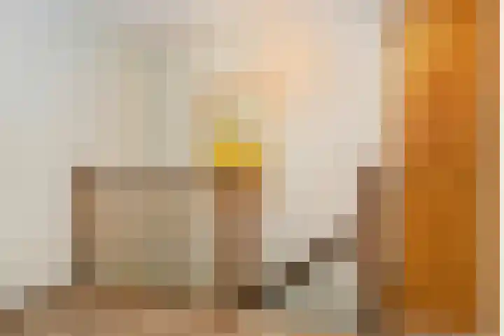 Jacob van Deventerstraat 21 Eindhoven thumbnail 17