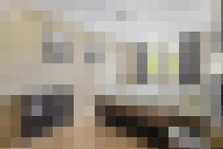 Jacob van Deventerstraat 3 Venlo thumbnail 17
