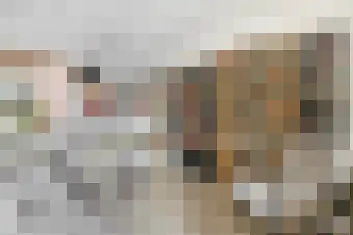Jacob van Deventerstraat 3 Venlo thumbnail 7