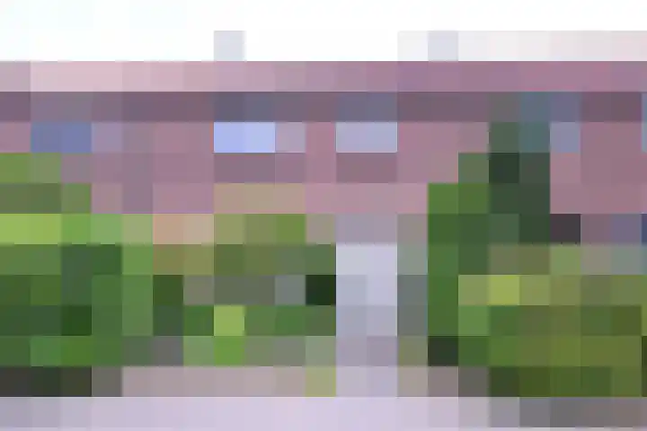 Jacob van Deventerstraat 5 in Deventer