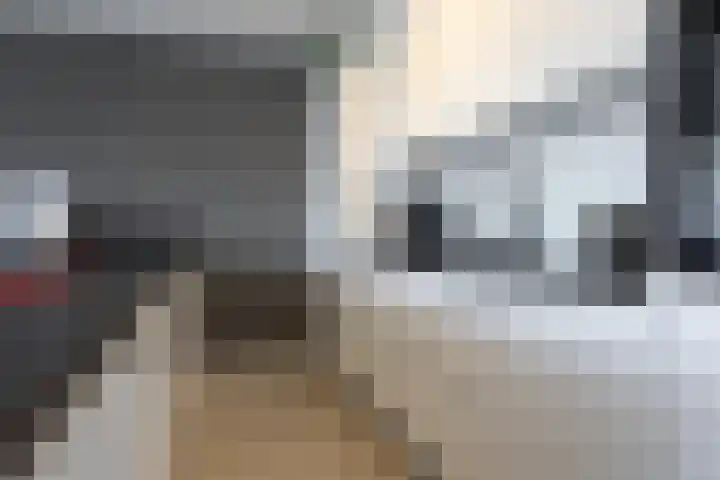 Jacob van Deventerstraat 85 Beverwijk thumbnail 15