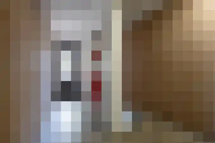 Jacob van Deventerstraat 85 Beverwijk thumbnail 43