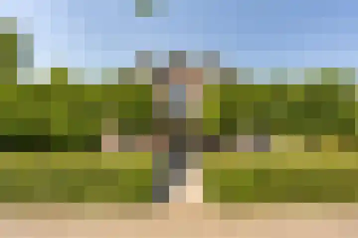 Jacob van Ettenstraat 4 Mijnsheerenland thumbnail 11