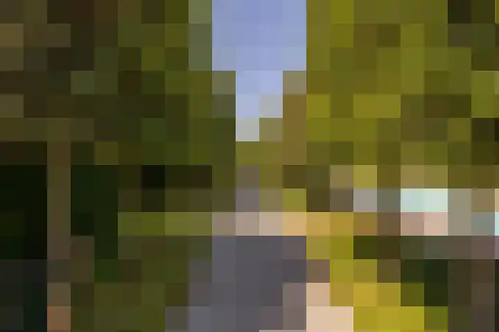Jacob van Ettenstraat 4 Mijnsheerenland thumbnail 19
