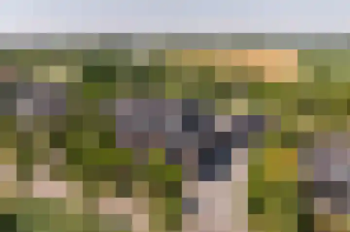 Jacob van Ettenstraat 4 Mijnsheerenland thumbnail 20