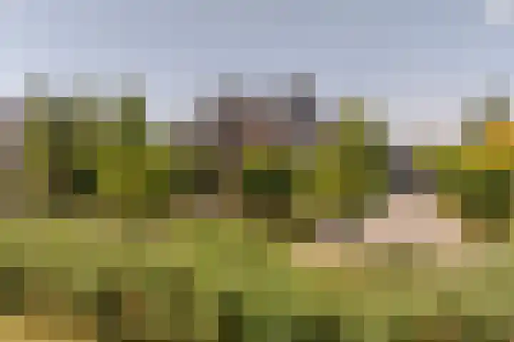 Jacob van Ettenstraat 4 Mijnsheerenland thumbnail 21