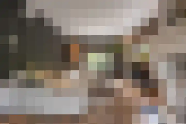 Jacob van Ettenstraat 4 Mijnsheerenland thumbnail 26