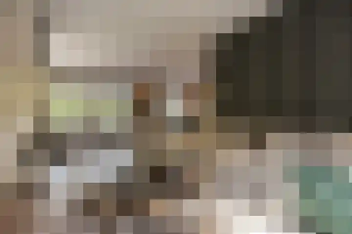 Jacob van Ettenstraat 4 Mijnsheerenland thumbnail 27