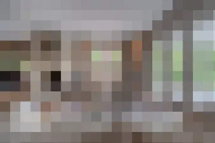 Jacob van Ettenstraat 4 Mijnsheerenland thumbnail 30