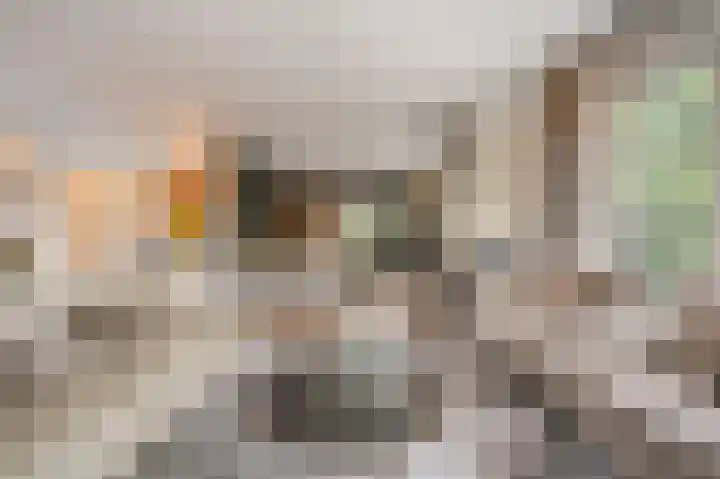 Jacob van Ettenstraat 4 Mijnsheerenland thumbnail 31