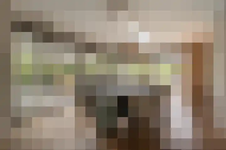 Jacob van Ettenstraat 4 Mijnsheerenland thumbnail 39