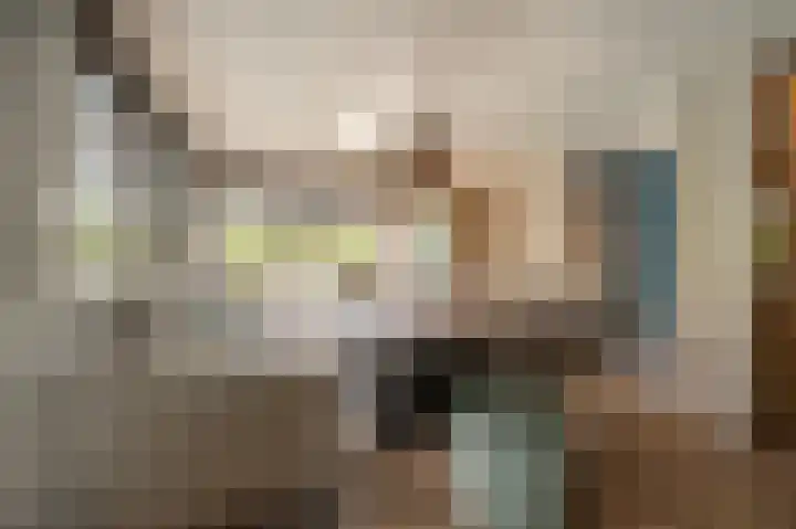 Jacob van Ettenstraat 4 Mijnsheerenland thumbnail 40