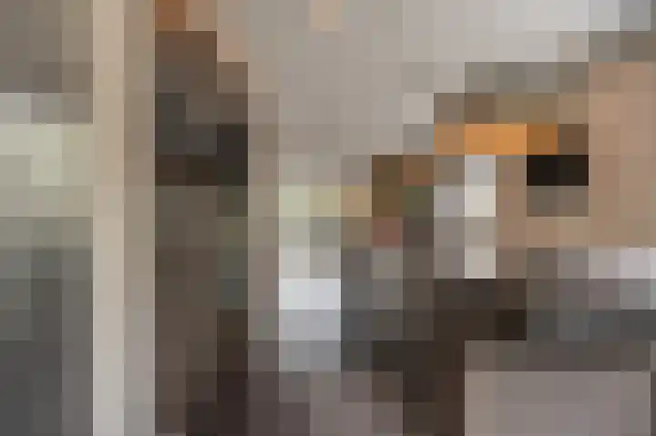 Jacob van Ettenstraat 4 Mijnsheerenland thumbnail 42