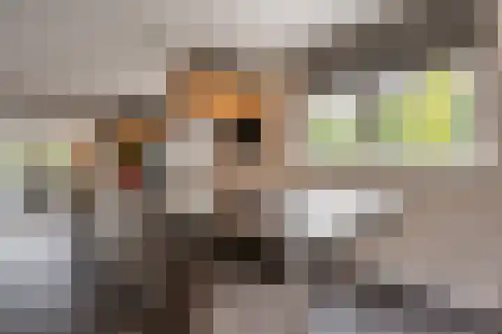 Jacob van Ettenstraat 4 Mijnsheerenland thumbnail 43