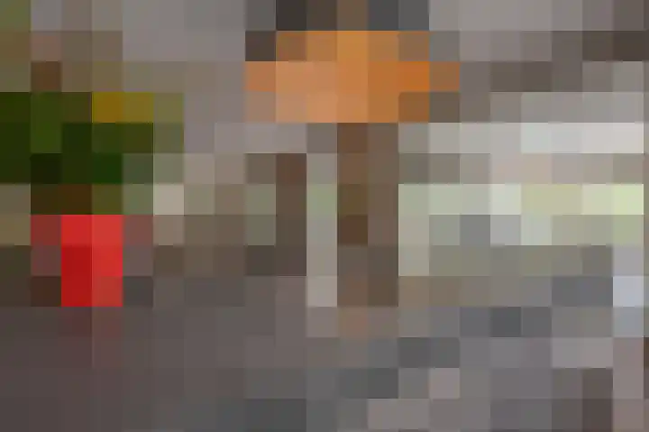 Jacob van Ettenstraat 4 Mijnsheerenland thumbnail 45