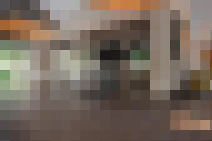 Jacob van Ettenstraat 4 Mijnsheerenland thumbnail 46