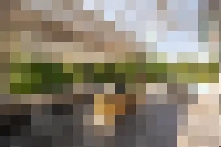 Jacob van Ettenstraat 4 Mijnsheerenland thumbnail 5