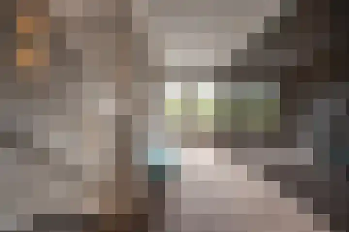 Jacob van Ettenstraat 4 Mijnsheerenland thumbnail 50