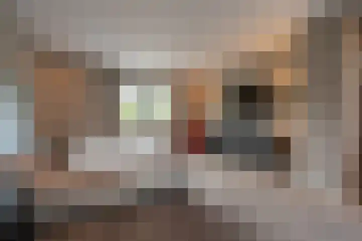Jacob van Ettenstraat 4 Mijnsheerenland thumbnail 53