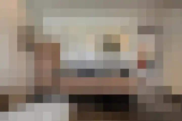 Jacob van Ettenstraat 4 Mijnsheerenland thumbnail 59
