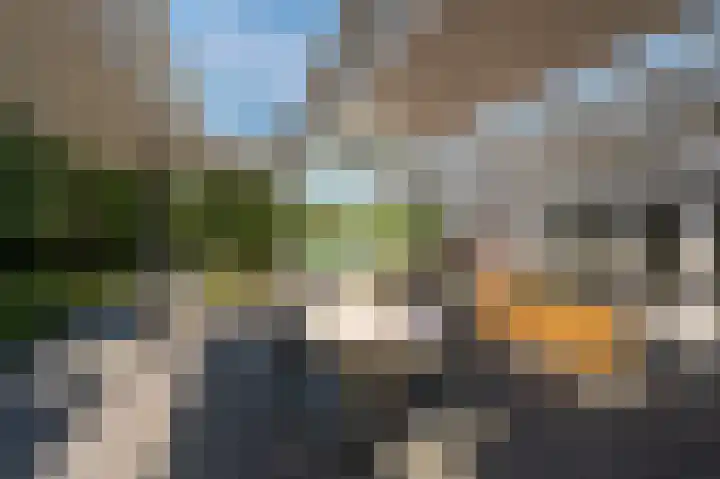 Jacob van Ettenstraat 4 Mijnsheerenland thumbnail 6