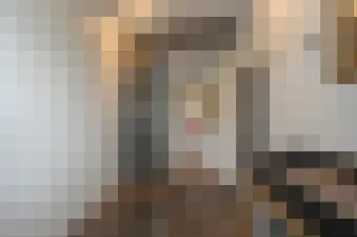 Jacob van Ettenstraat 4 Mijnsheerenland thumbnail 64