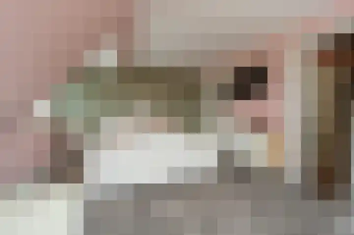 Jacob van Ettenstraat 4 Mijnsheerenland thumbnail 69