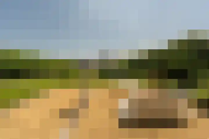 Jacob van Ettenstraat 4 Mijnsheerenland thumbnail 7