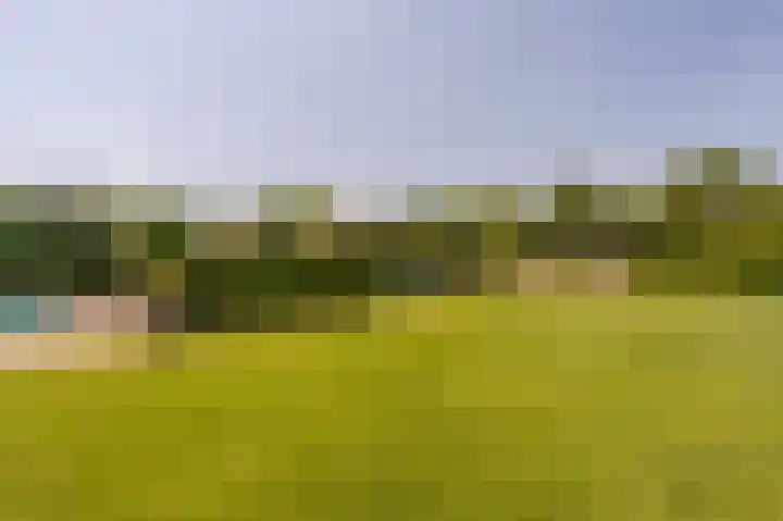 Jacob van Ettenstraat 4 Mijnsheerenland thumbnail 8