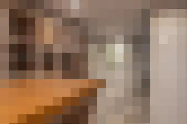 Jacob van Ettenstraat 4 Mijnsheerenland thumbnail 83