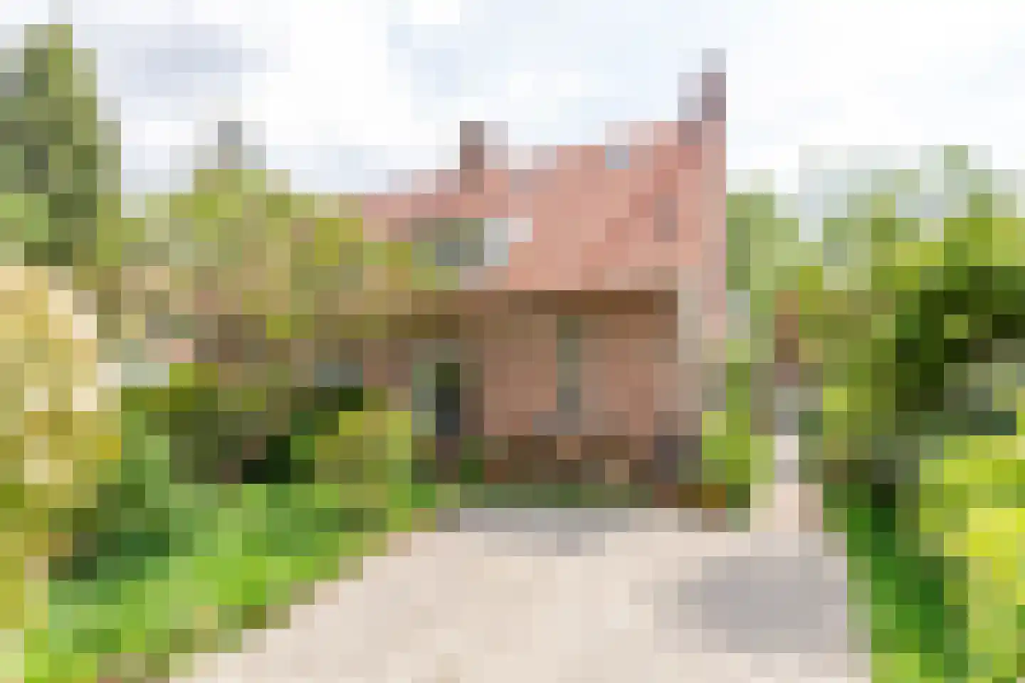 Jacob van Gaesbeeklaan 11 Driebergen-Rijsenburg foto 2