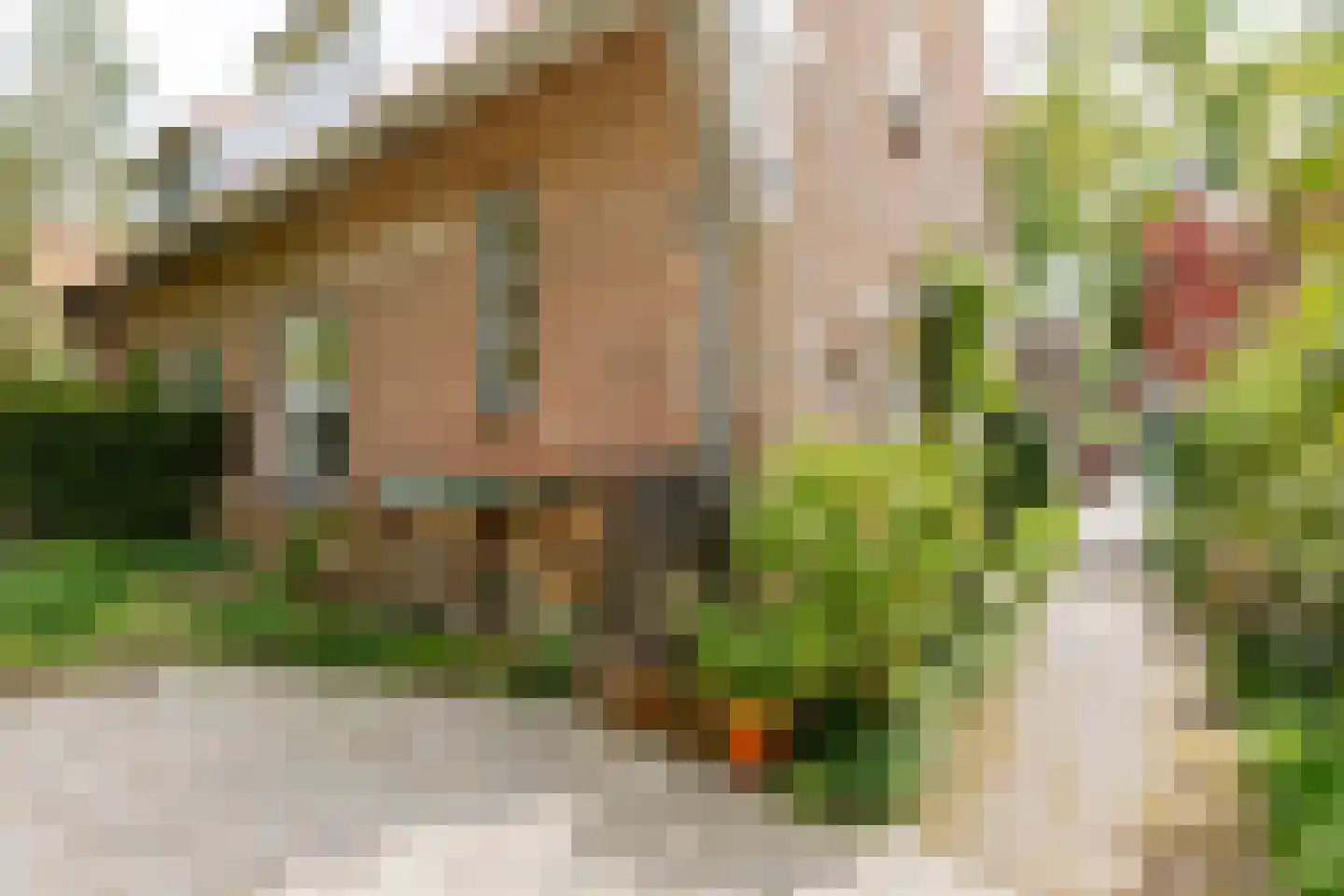 Jacob van Gaesbeeklaan 11 Driebergen-Rijsenburg foto 3