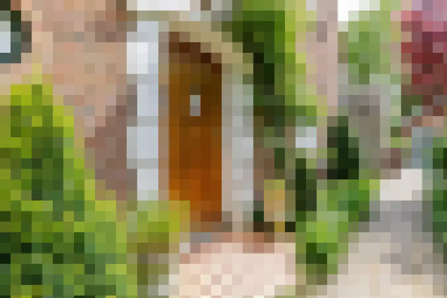 Jacob van Gaesbeeklaan 11 Driebergen-Rijsenburg thumbnail 4
