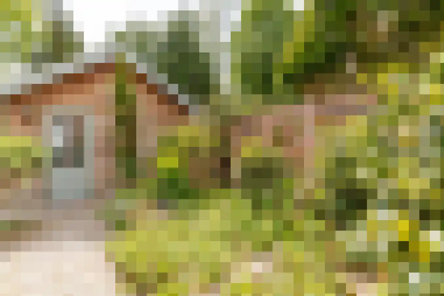 Jacob van Gaesbeeklaan 11 Driebergen-Rijsenburg thumbnail 40