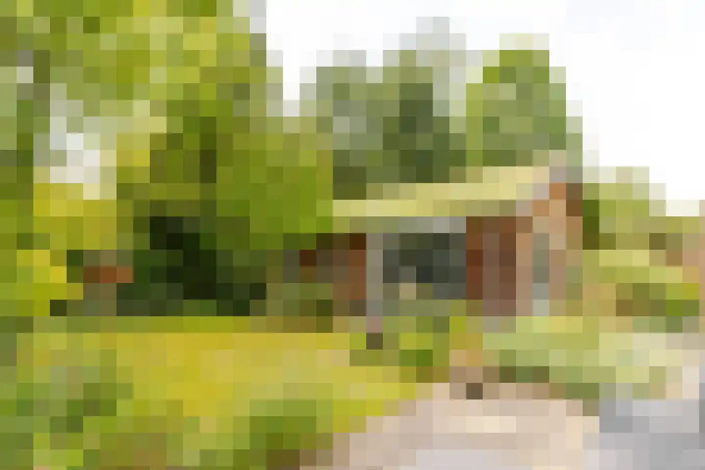 Jacob van Gaesbeeklaan 11 Driebergen-Rijsenburg thumbnail 41