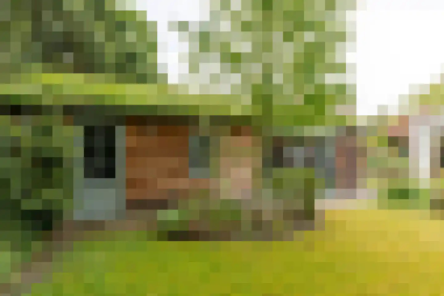 Jacob van Gaesbeeklaan 11 Driebergen-Rijsenburg thumbnail 42