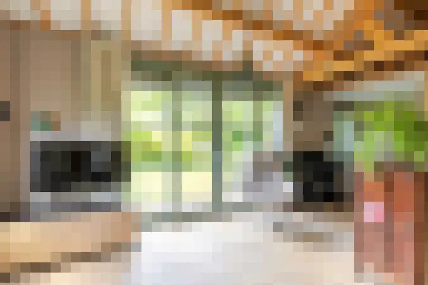 Jacob van Gaesbeeklaan 11 Driebergen-Rijsenburg thumbnail 44